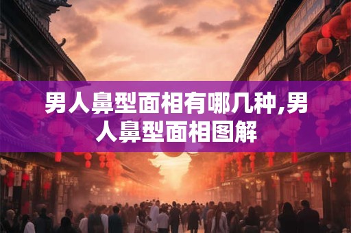 男人鼻型面相有哪几种,男人鼻型面相图解