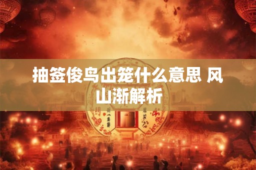 抽签俊鸟出笼什么意思 风山渐解析