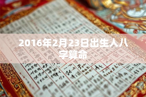 2016年2月23日出生人八字算命