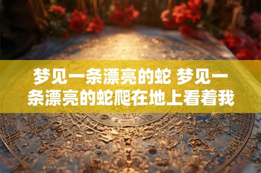 梦见一条漂亮的蛇 梦见一条漂亮的蛇爬在地上看着我是什么意思