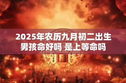 2025年农历九月初二出生男孩命好吗 是上等命吗