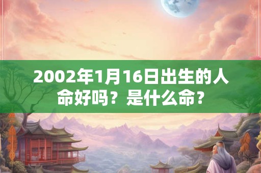 2002年1月16日出生的人命好吗？是什么命？