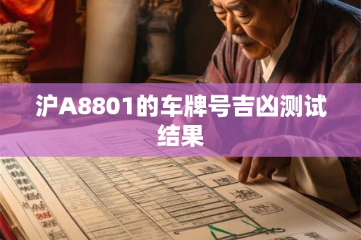 沪A8801的车牌号吉凶测试结果