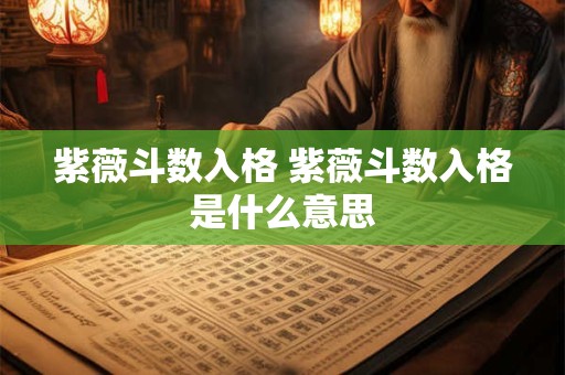 紫薇斗数入格 紫薇斗数入格是什么意思