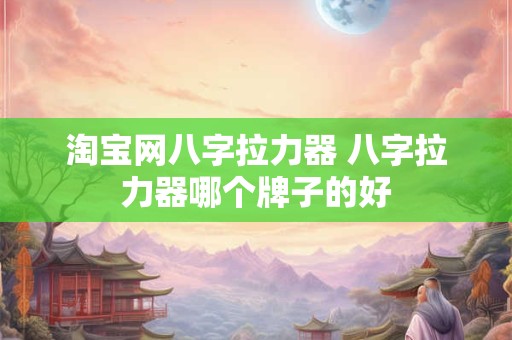 淘宝网八字拉力器 八字拉力器哪个牌子的好