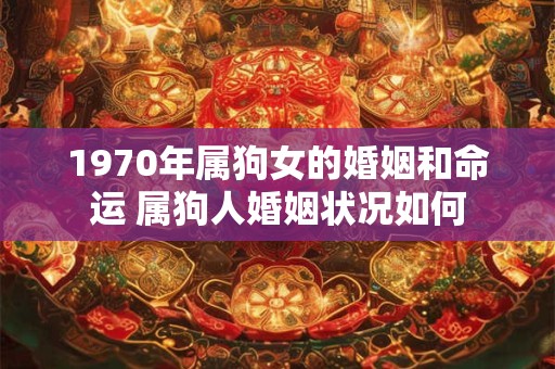 1970年属狗女的婚姻和命运 属狗人婚姻状况如何