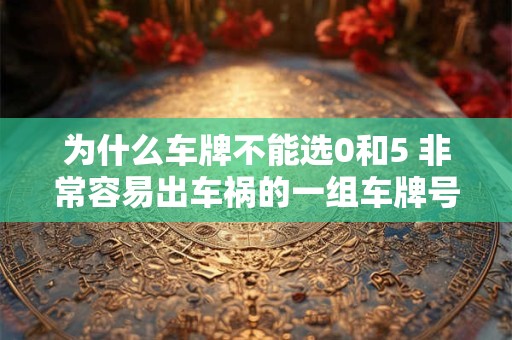 为什么车牌不能选0和5 非常容易出车祸的一组车牌号