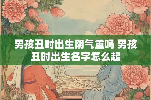 男孩丑时出生阴气重吗 男孩丑时出生名字怎么起