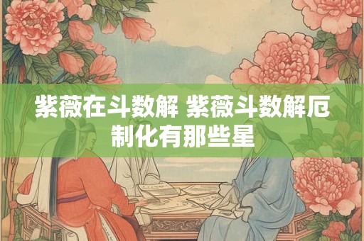 紫薇在斗数解 紫薇斗数解厄制化有那些星