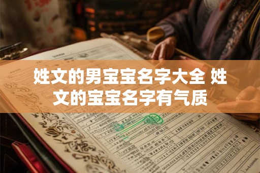 姓文的男宝宝名字大全 姓文的宝宝名字有气质