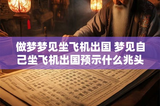 做梦梦见坐飞机出国 梦见自己坐飞机出国预示什么兆头