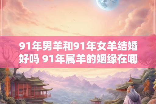 91年男羊和91年女羊结婚好吗 91年属羊的姻缘在哪年