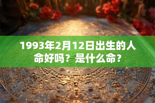 1993年2月12日出生的人命好吗？是什么命？