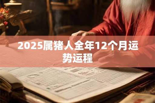 2025属猪人全年12个月运势运程
