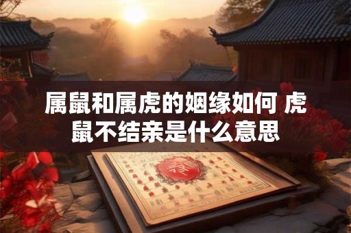 属鼠和属虎的姻缘如何 虎鼠不结亲是什么意思
