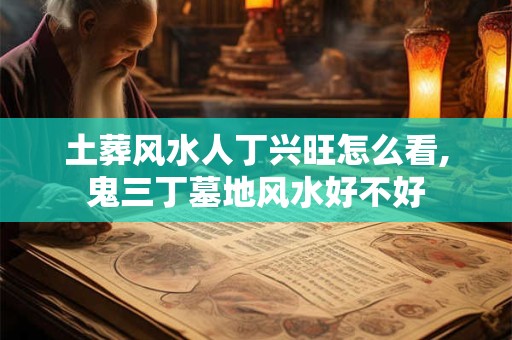 土葬风水人丁兴旺怎么看,鬼三丁墓地风水好不好