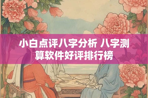 小白点评八字分析 八字测算软件好评排行榜