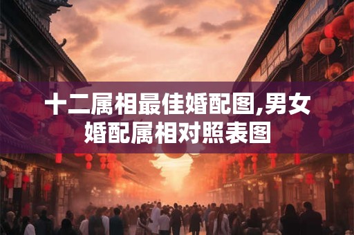 十二属相最佳婚配图,男女婚配属相对照表图