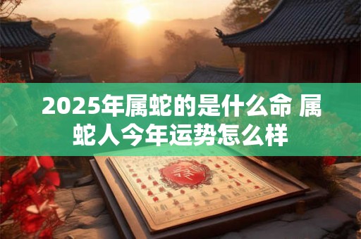 2025年属蛇的是什么命 属蛇人今年运势怎么样