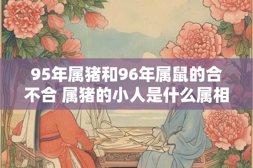 95年属猪和96年属鼠的合不合 属猪的小人是什么属相