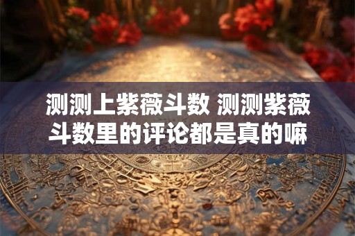 测测上紫薇斗数 测测紫薇斗数里的评论都是真的嘛