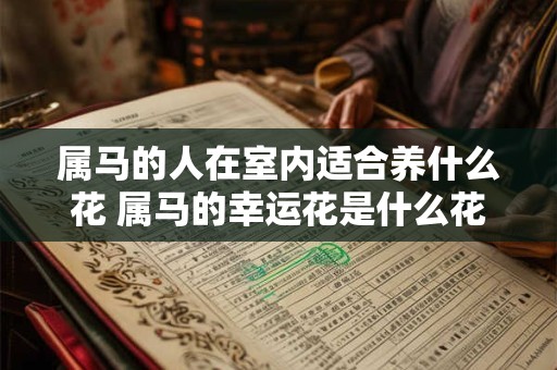 属马的人在室内适合养什么花 属马的幸运花是什么花