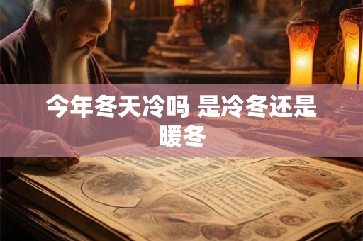 今年冬天冷吗 是冷冬还是暖冬