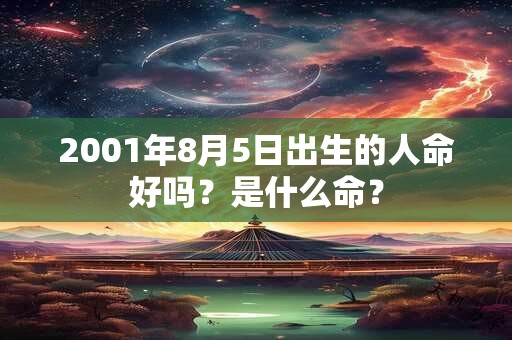 2001年8月5日出生的人命好吗？是什么命？