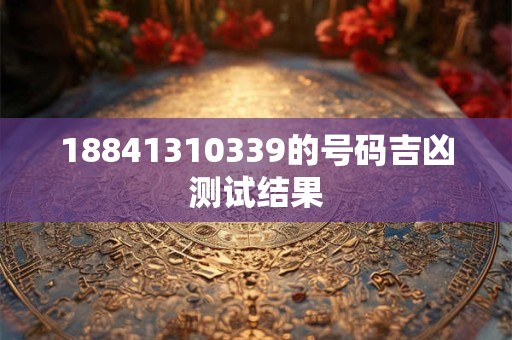 18841310339的号码吉凶测试结果