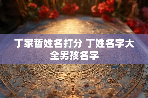 丁家哲姓名打分 丁姓名字大全男孩名字