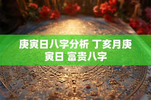 庚寅日八字分析 丁亥月庚寅日 富贵八字