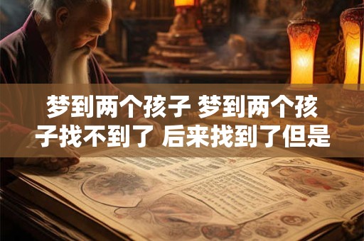 梦到两个孩子 梦到两个孩子找不到了 后来找到了但是没见就醒了