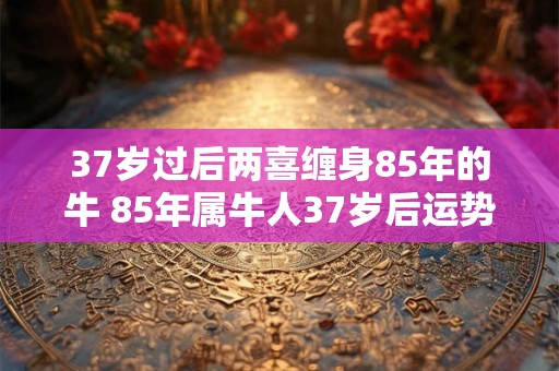 37岁过后两喜缠身85年的牛 85年属牛人37岁后运势