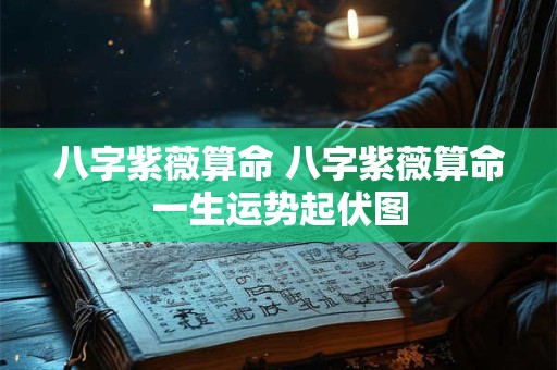 八字紫薇算命 八字紫薇算命一生运势起伏图