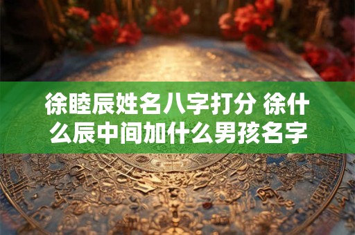 徐睦辰姓名八字打分 徐什么辰中间加什么男孩名字