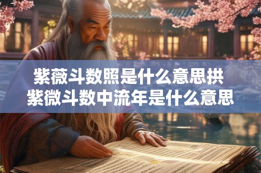 紫薇斗数照是什么意思拱 紫微斗数中流年是什么意思