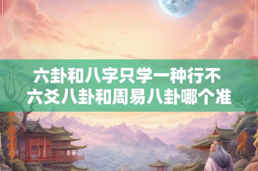 六卦和八字只学一种行不 六爻八卦和周易八卦哪个准