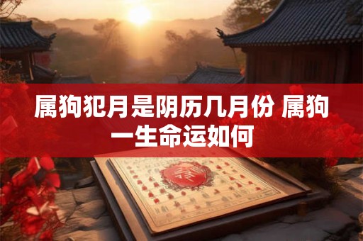 属狗犯月是阴历几月份 属狗一生命运如何