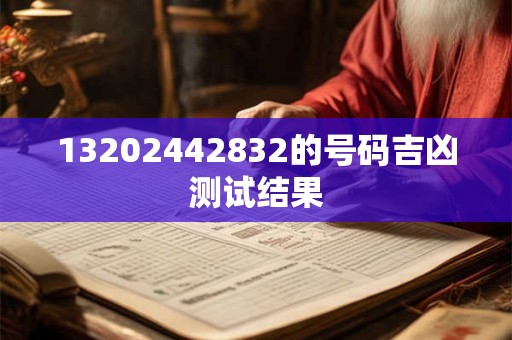 13202442832的号码吉凶测试结果