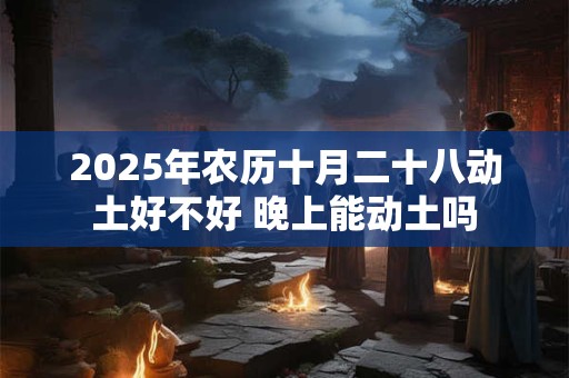 2025年农历十月二十八动土好不好 晚上能动土吗