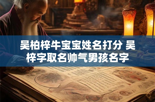 吴柏梓牛宝宝姓名打分 吴梓字取名帅气男孩名字