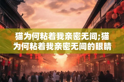 猫为何粘着我亲密无间;猫为何粘着我亲密无间的眼睛