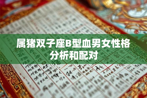 属猪双子座B型血男女性格分析和配对