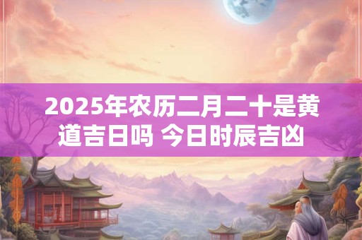 2025年农历二月二十是黄道吉日吗 今日时辰吉凶