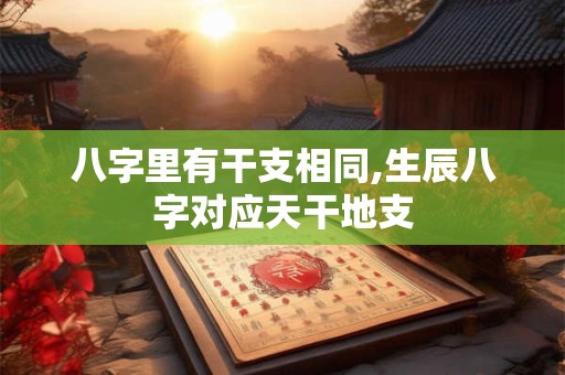 八字里有干支相同,生辰八字对应天干地支