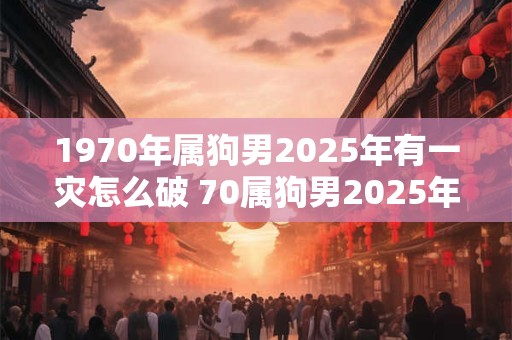 1970年属狗男2025年有一灾怎么破 70属狗男2025年有哪些灾难