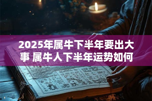 2025年属牛下半年要出大事 属牛人下半年运势如何