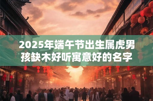 2025年端午节出生属虎男孩缺木好听寓意好的名字