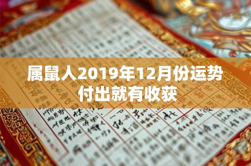 属鼠人2019年12月份运势 付出就有收获
