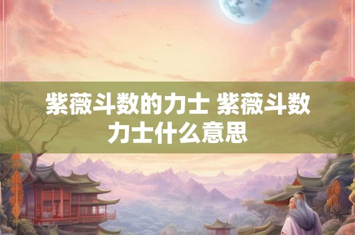 紫薇斗数的力士 紫薇斗数力士什么意思